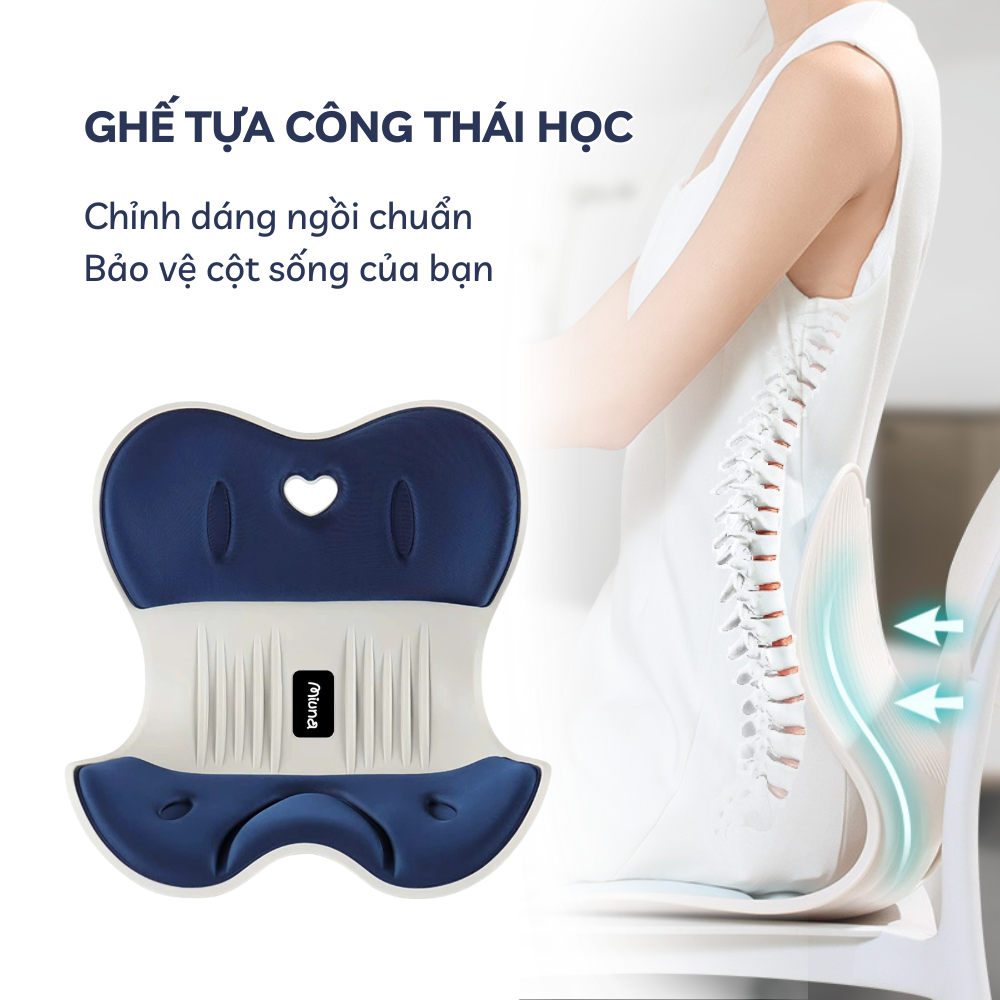 Ghế tựa lưng công thái học Miuna - Điều chỉnh tư thế ngồi, giảm đau lưng - Ảnh 3