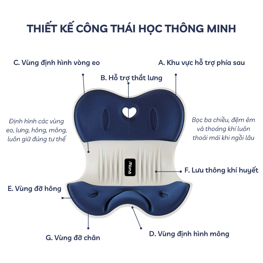 Ghế tựa lưng công thái học Miuna - Điều chỉnh tư thế ngồi, giảm đau lưng - Ảnh 5